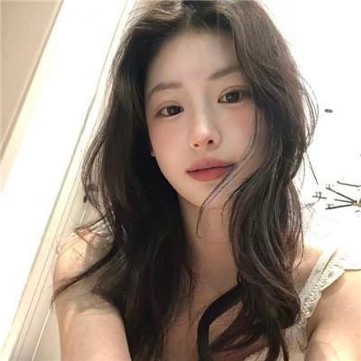 摄影师贝尔蒂与海豚零距离